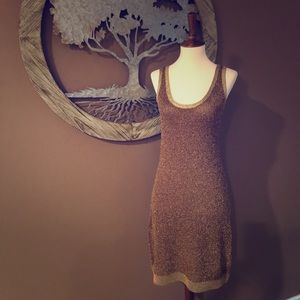 🆕NWT The Limited Gold Shimmer Dress
